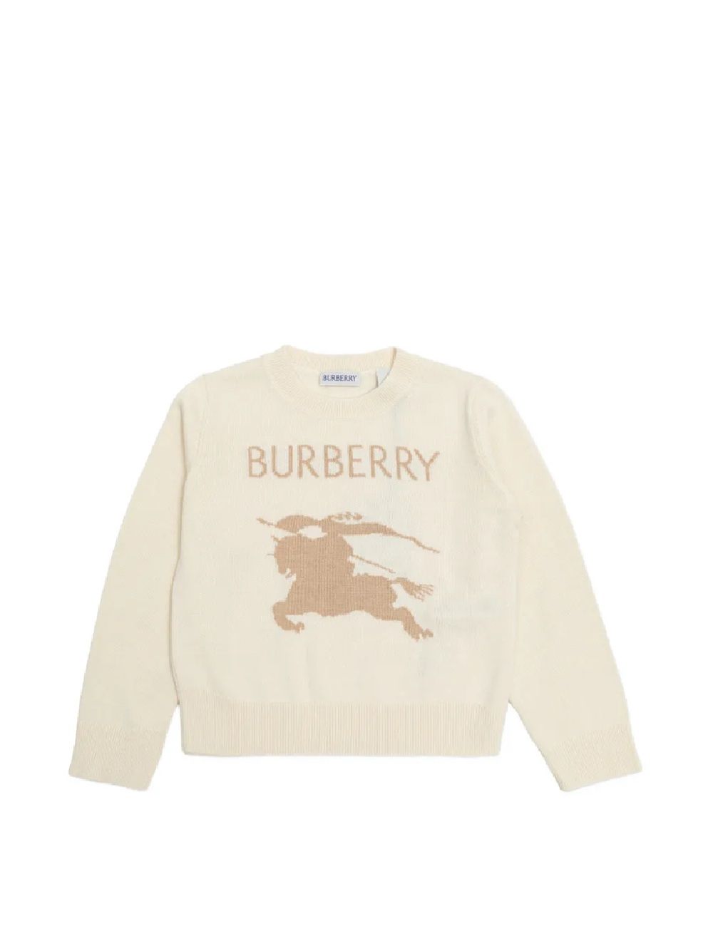 Burberrys Sweatshirt Burberry Kids Felpa