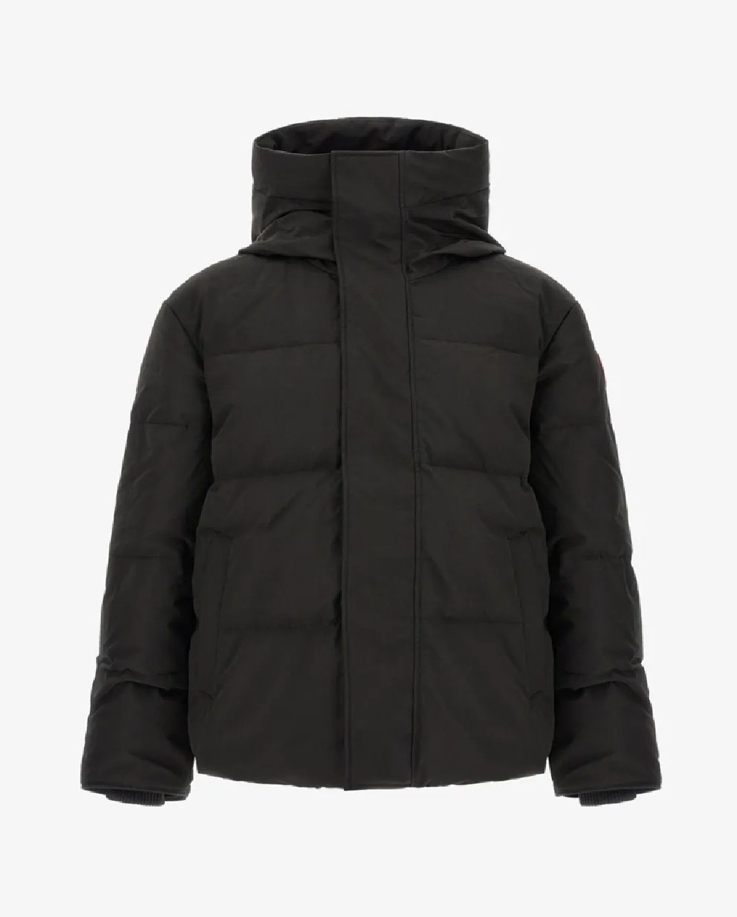 Canada Goose Men Padded Jacket Seymour Parka Canada Goose Uomo Seymour Parka